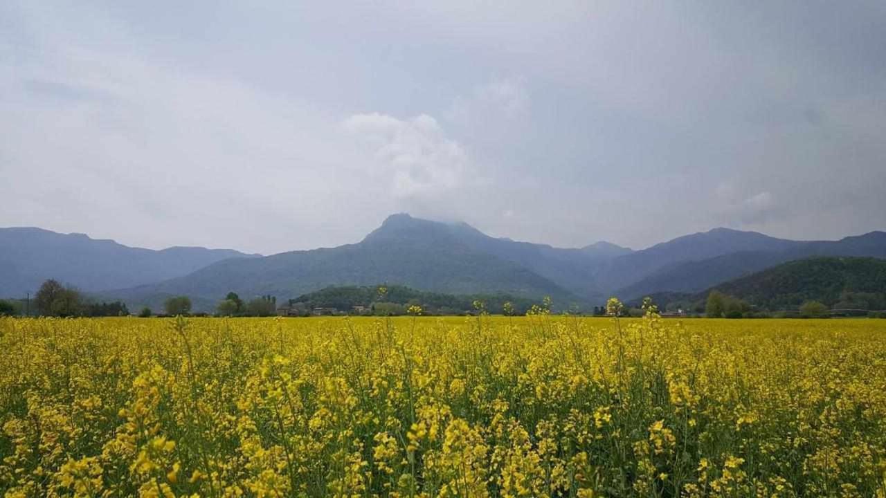 Apartamento Can Trona 1B Turismo Volcanico En La Garrotxa خوانيتاس المظهر الخارجي الصورة